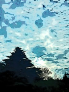 Fictional image of the backyard in Cape Ridge near Paul's home