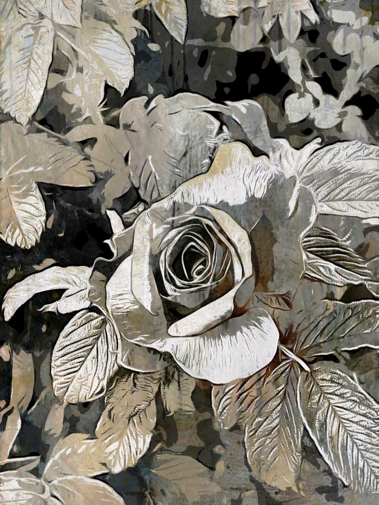 Abstract image of flowers with phases ending and drawing into a new beginning edited 