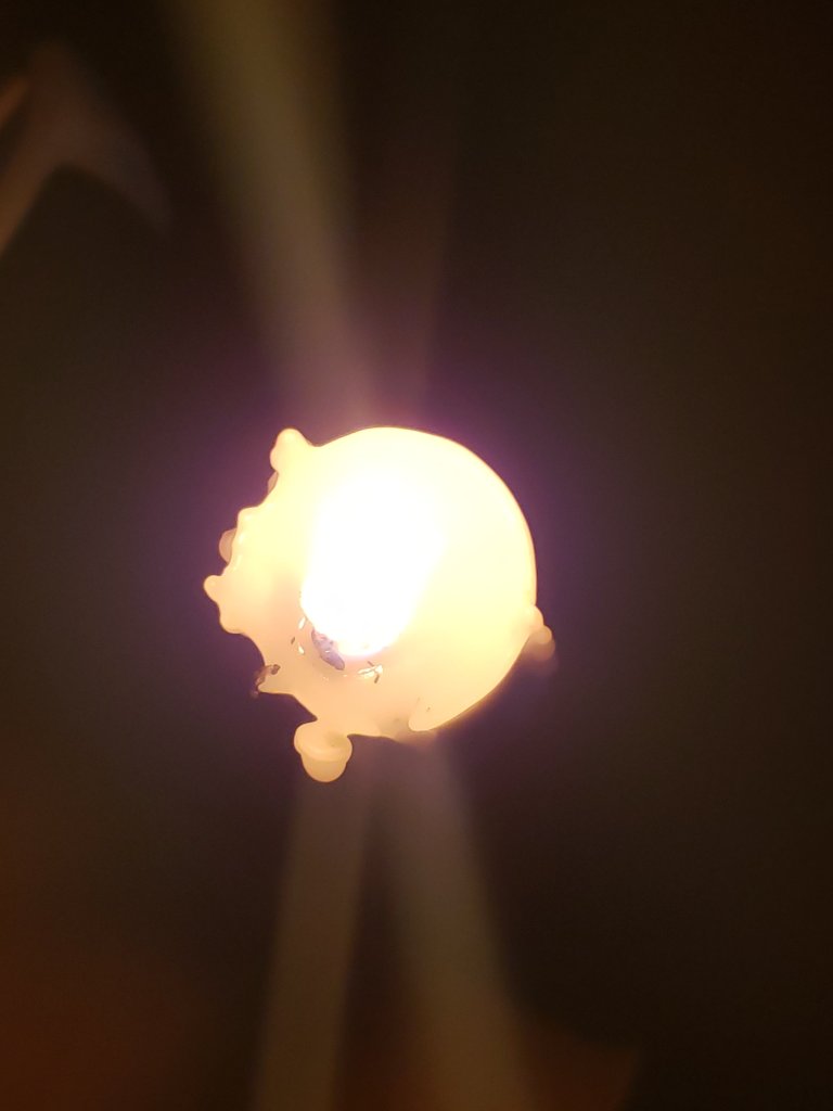 Candle light Photography Original Dr. Digital Philosophy By Coastal Agency