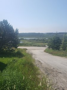 Daily Road Near My Home Sunny Day