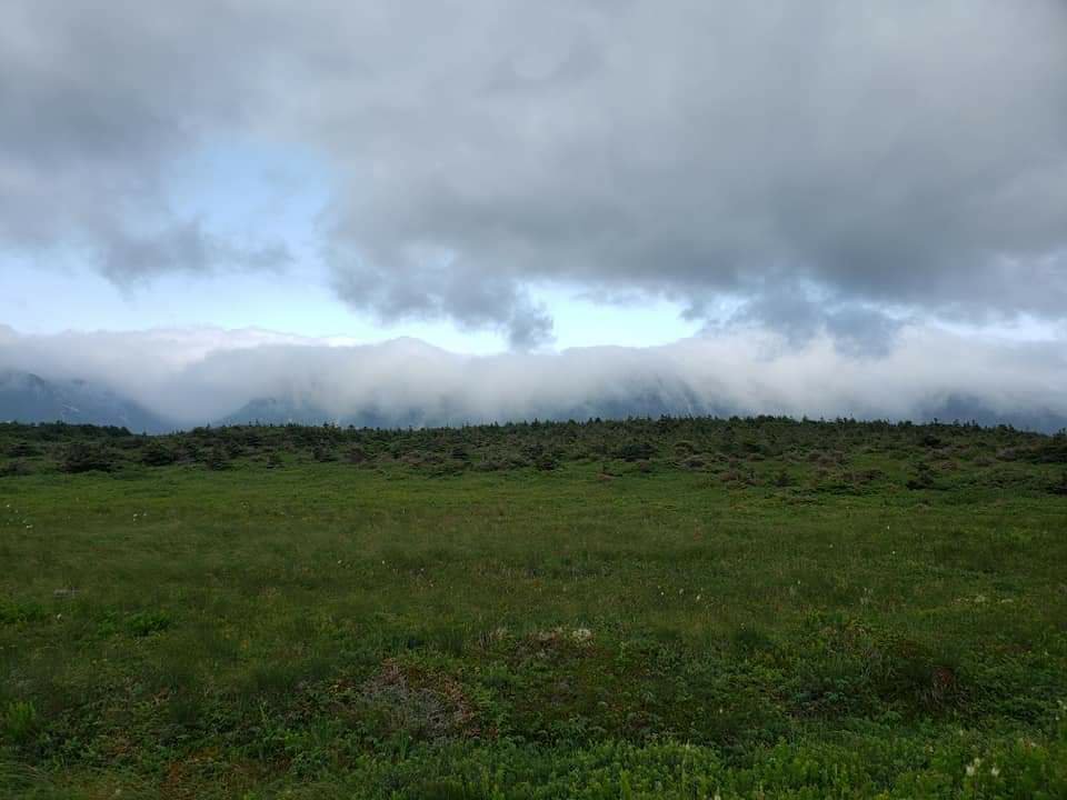 Originally Design image design fog by Dr. Digital Philosophy 