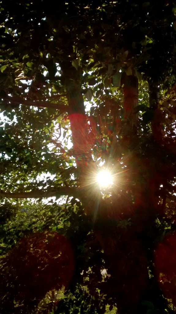 Subsumed originally posted Image by Dr. Digital Philosophy