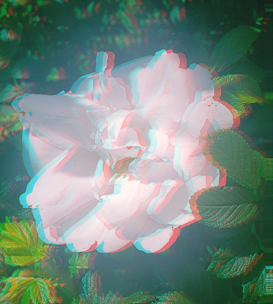 3 sisters Poem photograph by Dr. Digital Philosophy