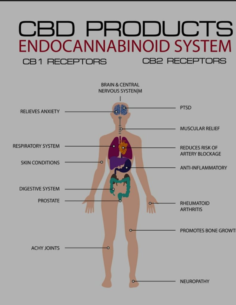 Cbd information currently obtained at https://cbdmagic.ca/cbd/397/