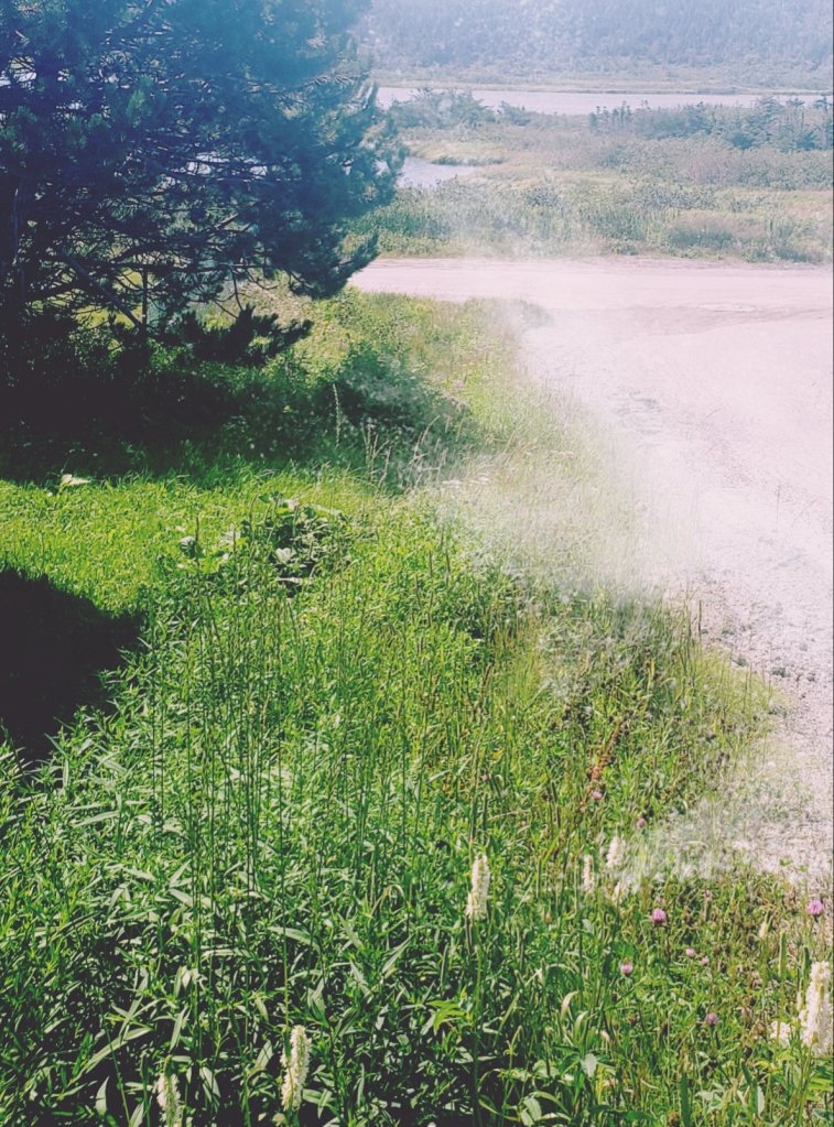 Road To Two Way street Tree Fields by Dr.digital Philosophy