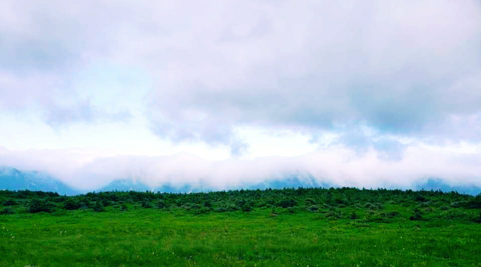 Foggy Scenery During Mountain Image Origin capture