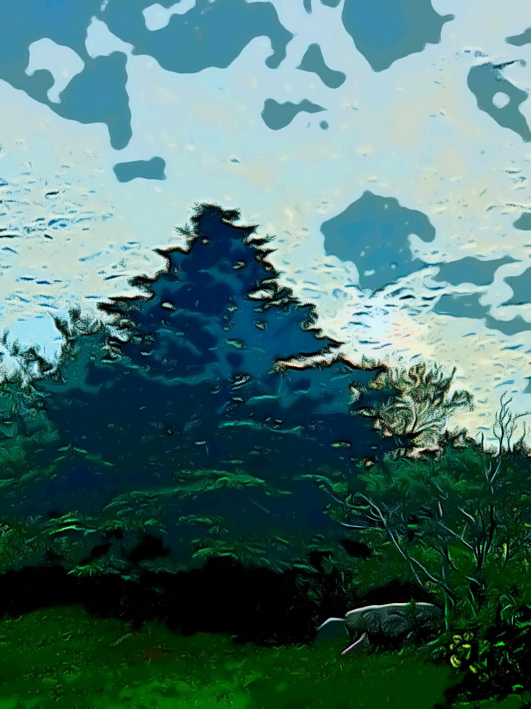 Cartoon forest edited while images of the sky and trees are seen by Dr Digital Philosophy 