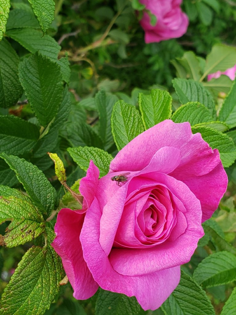 Dr Digital Philosophy Original Photography Availability 2021 Coastal Agency Website Homepage 