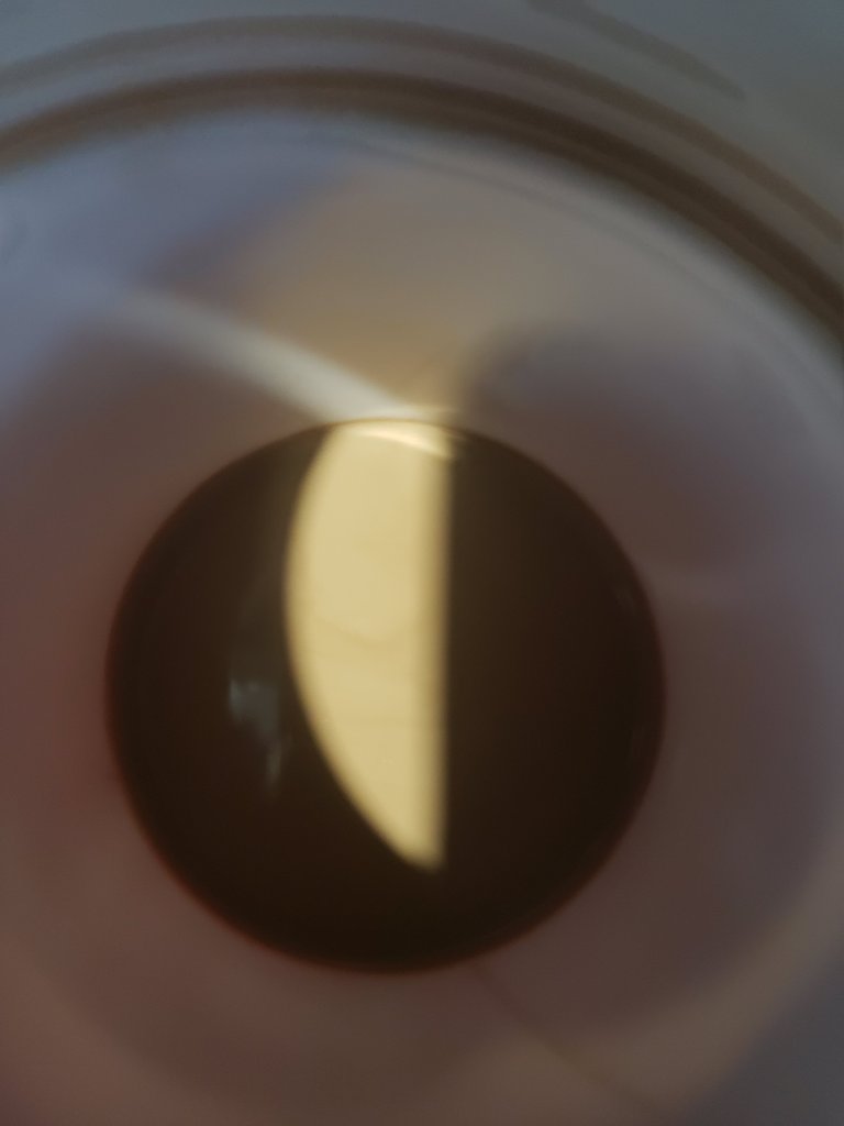 Original edited abstract Image Created by Polish and created by Skinner J.Tyler of Water bottle 