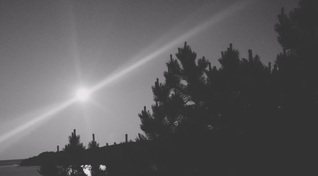 Black and white scenery photograph