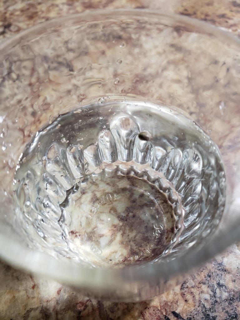 Glass of water with seeds germinating