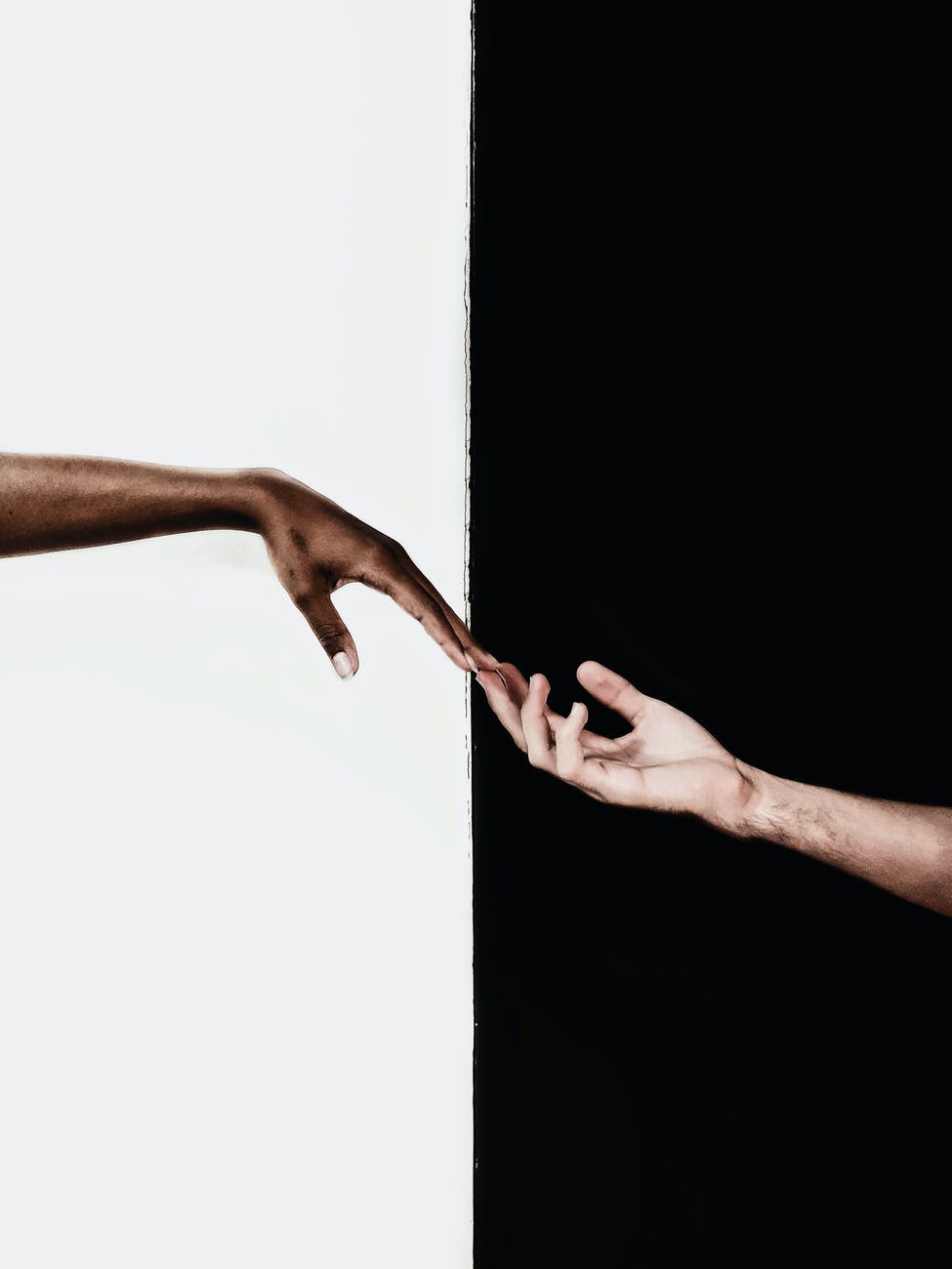 Wordpress stock photography of contrast image black and white while tow hands touch at the fingertips 