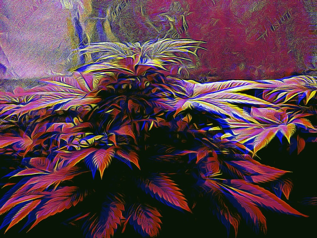 Marijuana Plant edited using a cartoon effect. Taken March 11th, 2022 by Dr. Digital Philosophy 