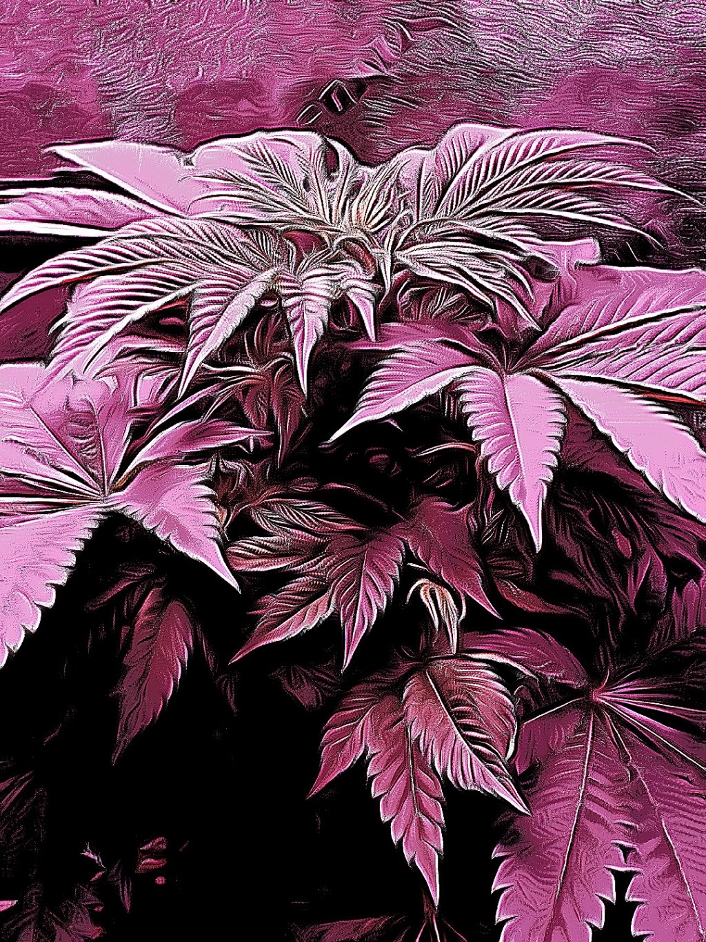 How To Make Cannabis&nbsp;Butter