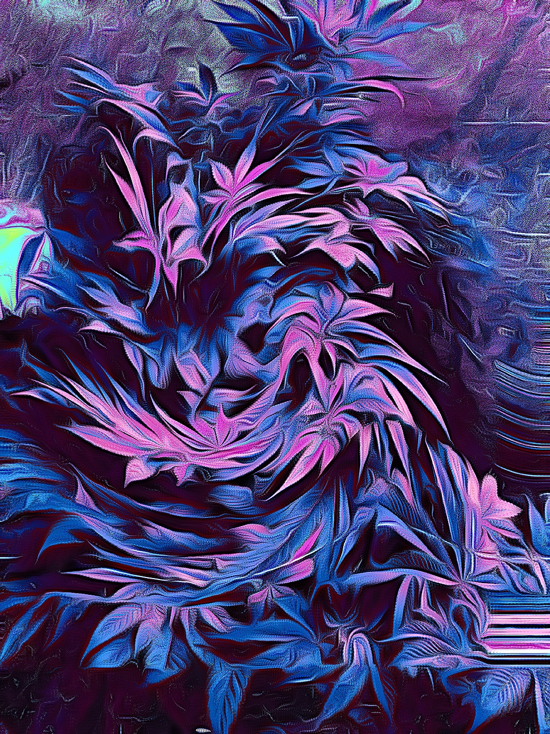 Edited and glitched image of a cannabis plant during the vegetation grow stage
