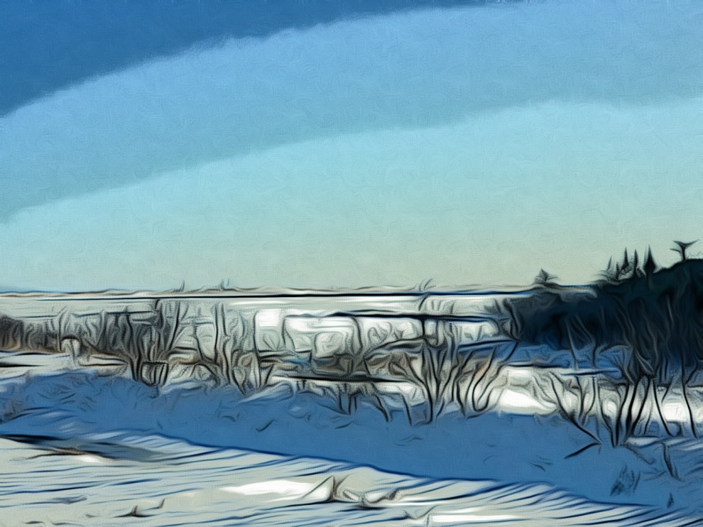 A Day For A&nbsp;Walk