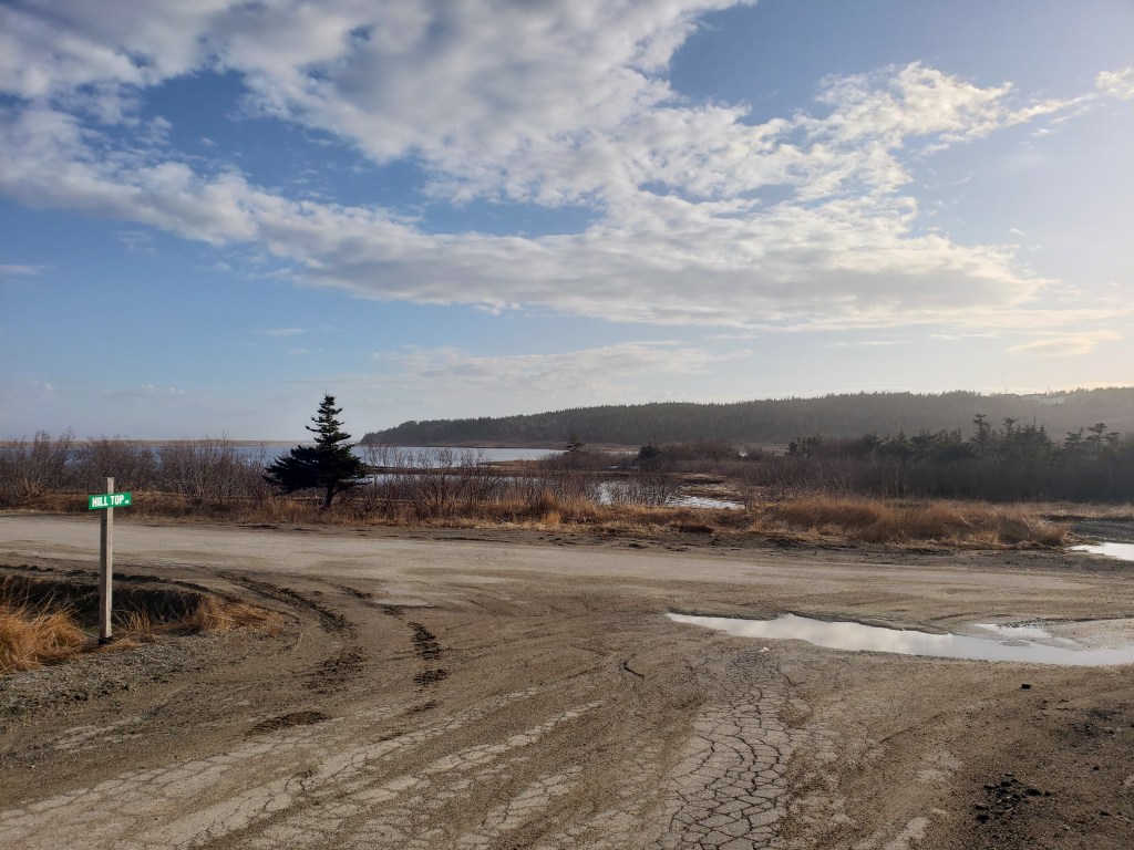 Scenic View Photography 2022