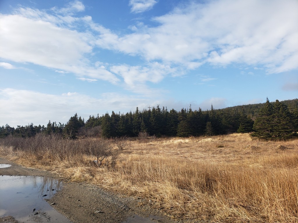 Then There Was&nbsp;Sunshine