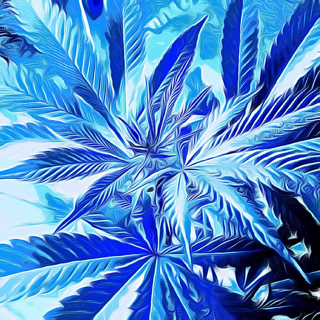 Cannabis Plants growing during flower stage and edited by Dr Digital Philosophy 