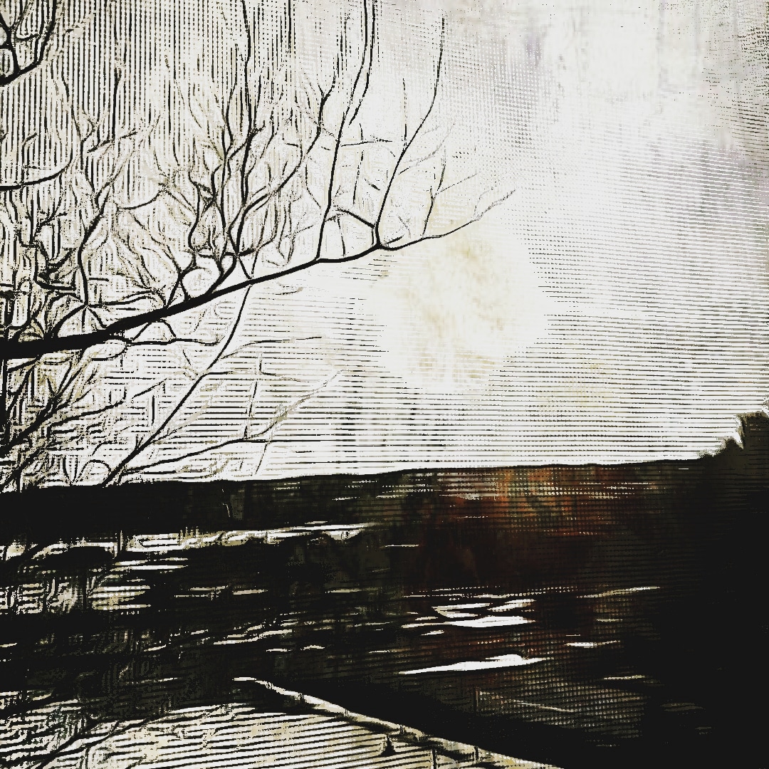 Edited photograph of a full moon during the night of winter 2022