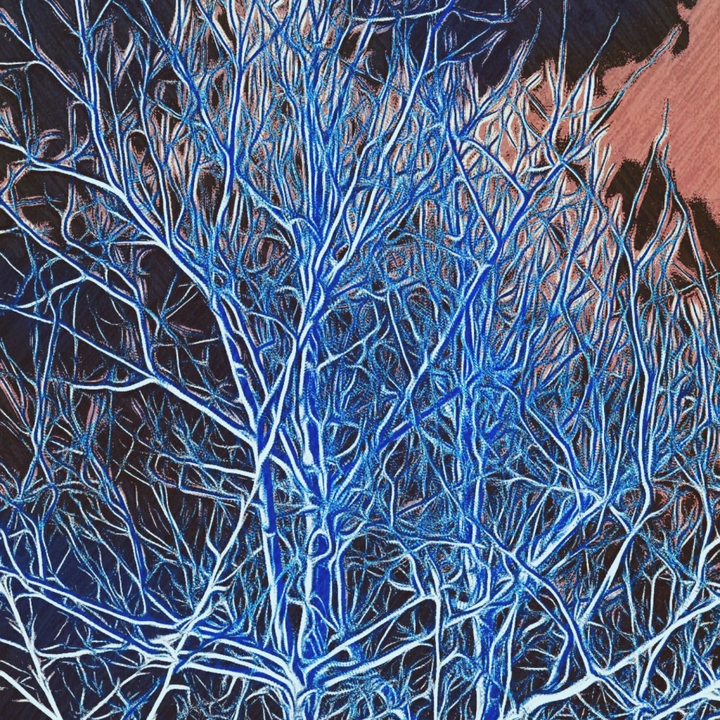 The tree outside during Dream Interpretation April 2022