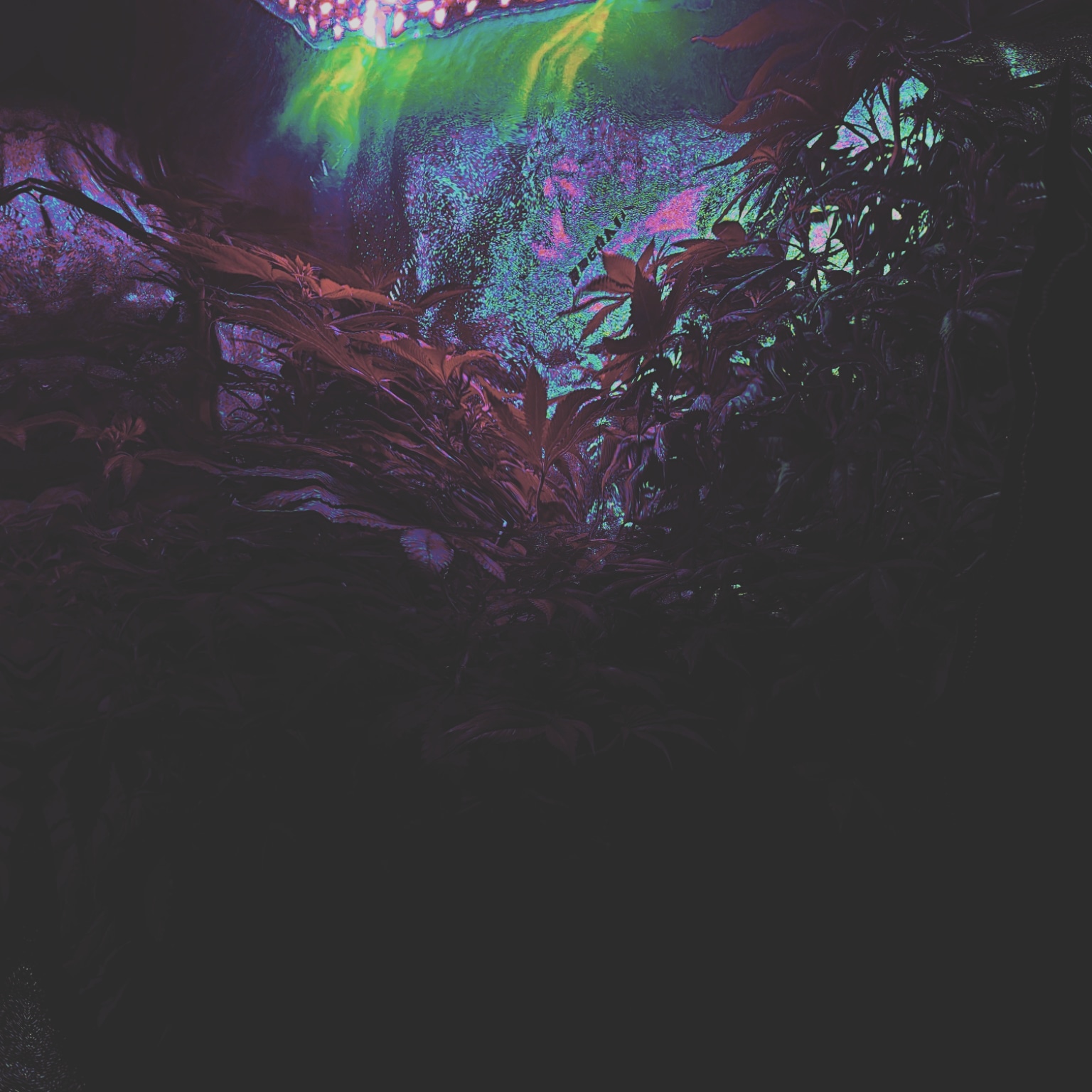 Digital Art Digital Philosophy 2021-2022