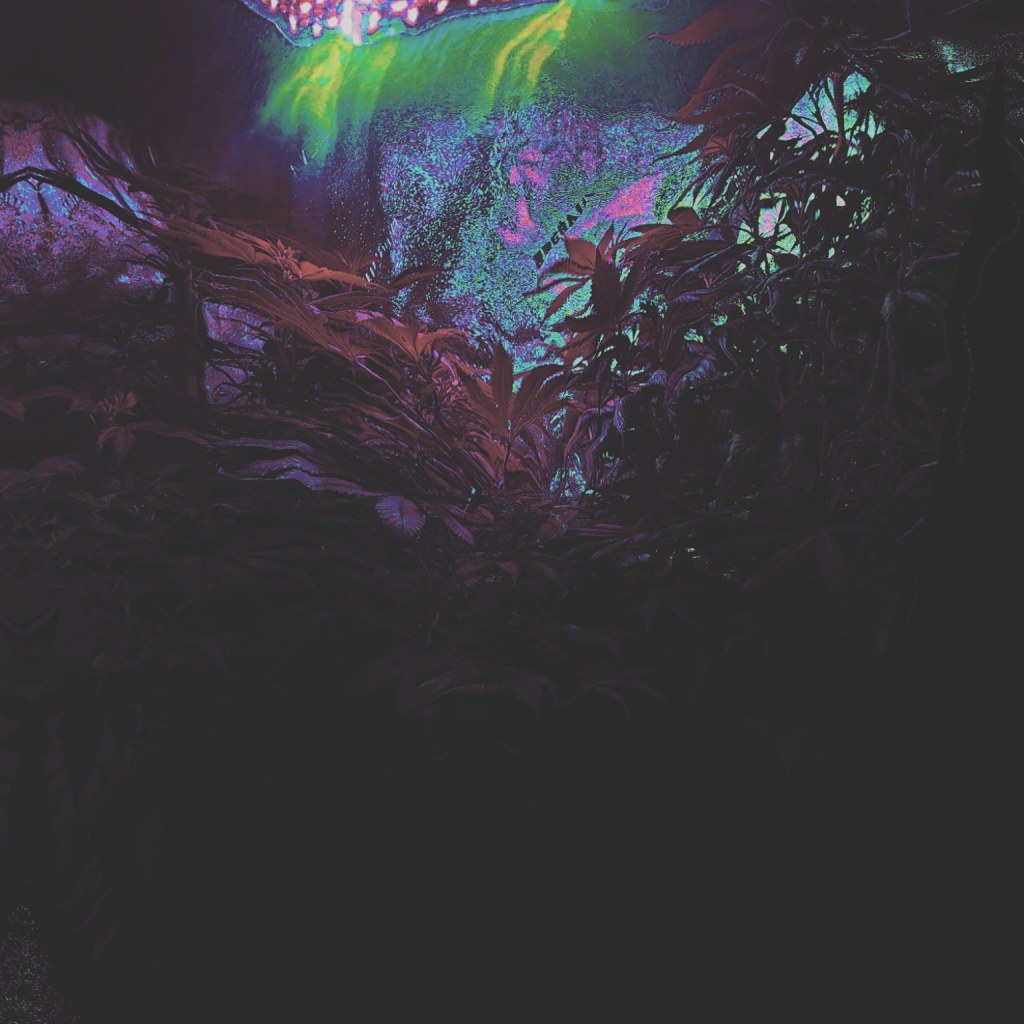 Digital Art 2021-2022