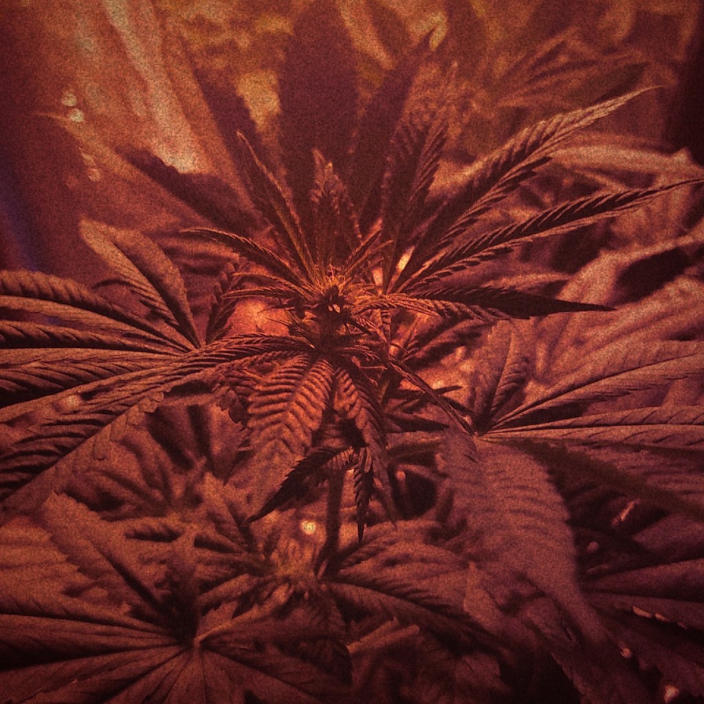 Digital Art 2021-2022 