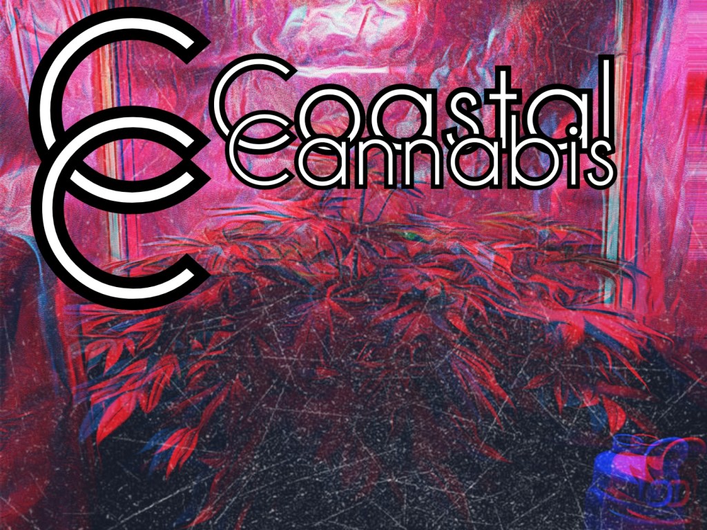 Cannabis Cultivation