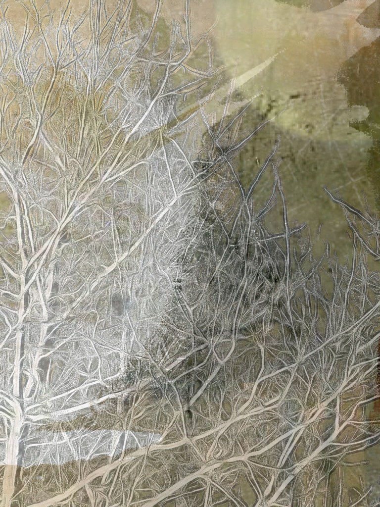 The tree outside edited during April 2022 by Dr Digital Philosophy