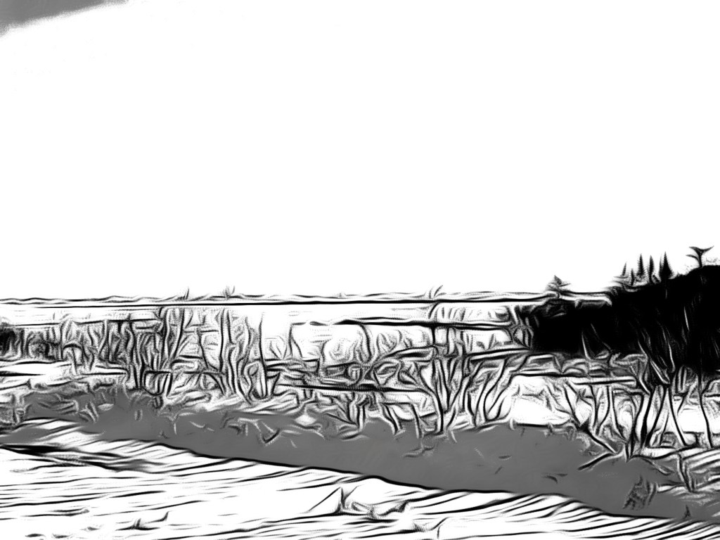 Scenic photograph in black and white during March 2022. Edited by Dr. Digital Philosophy April 2022