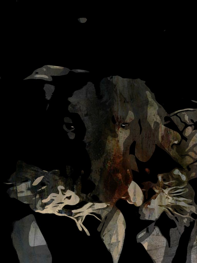 Edited picture of a dog while she sleeps