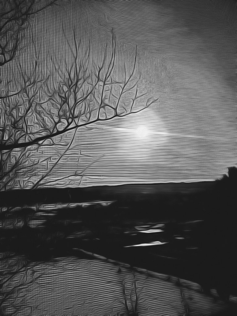 Black and white scenery image during the winter