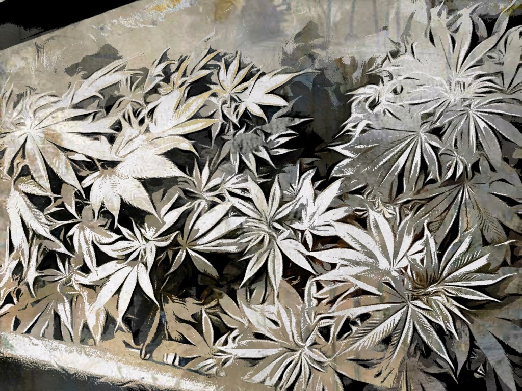 A Brand New&nbsp;Day