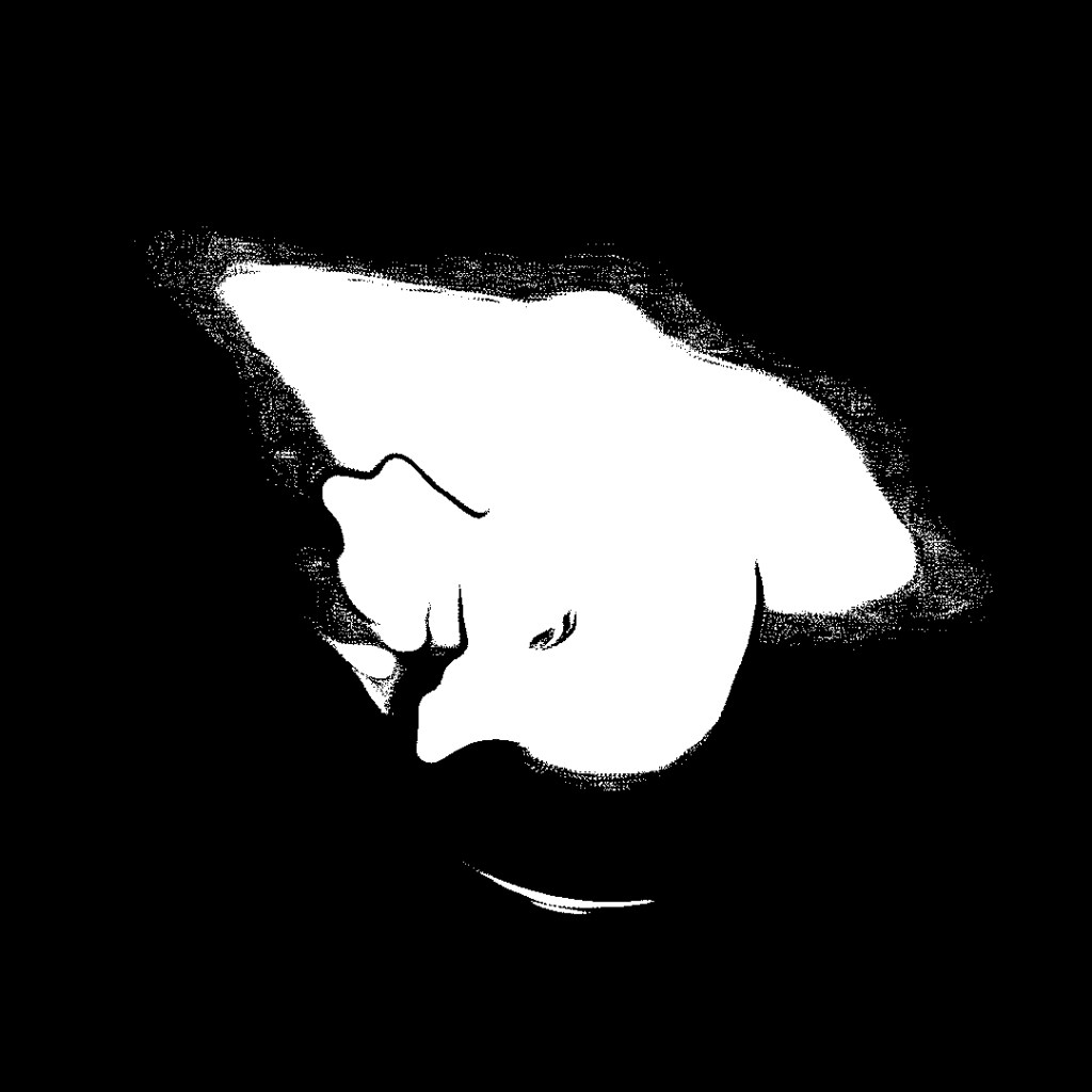 Candle Light burning during a night of 2022 edited in black and white by Dr. Digital Philosophy 