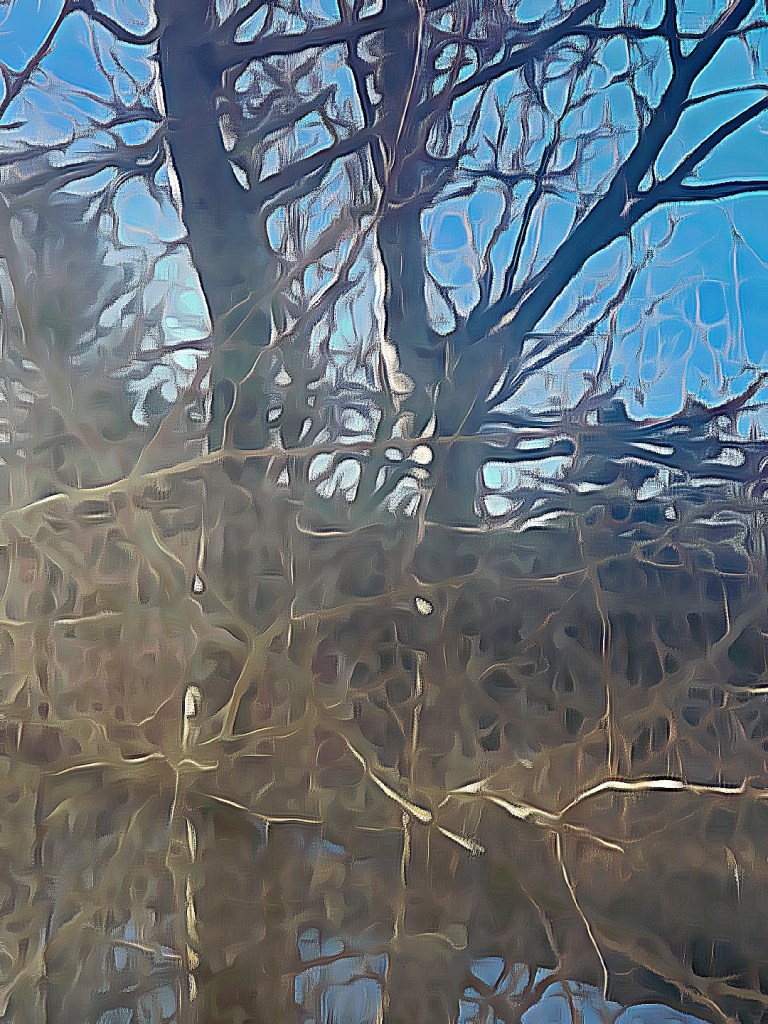 The tree outside is a image edited by Dr Digital Philosophy during April 2022