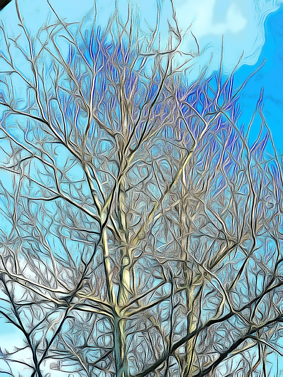 The tree outside on a nice sunny day edited by Dr Digital Philosophy during April 2022