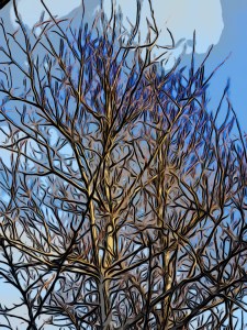 The tree outside April 2021-2022 during Easter