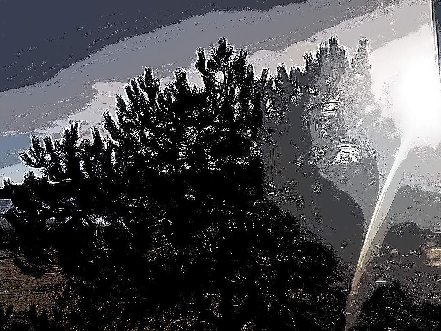 Tree outside during sunset edited by Dr Digital Philosophy during April 2022