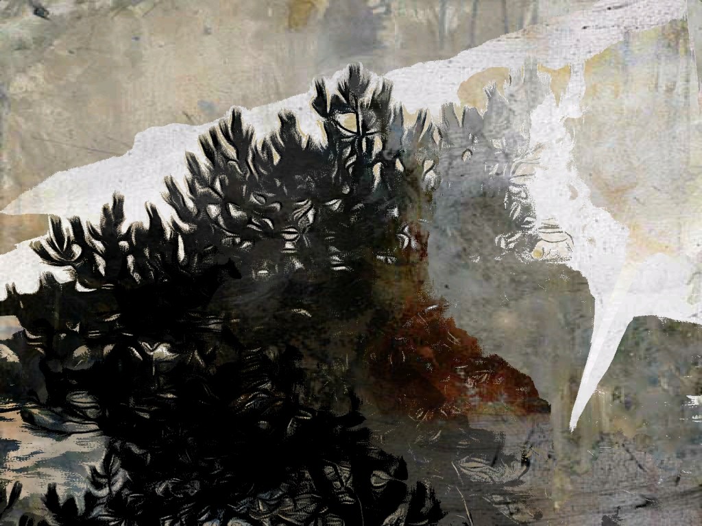 The tree outside during sunset edited by Dr Digital Philosophy during April 2022