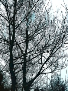 The tree outside edited by Dr. Digital Philosophy 2021-2022 