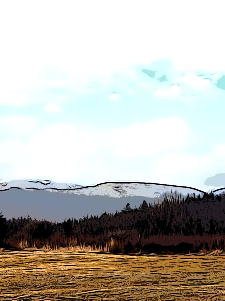 The country Side Photography 2022