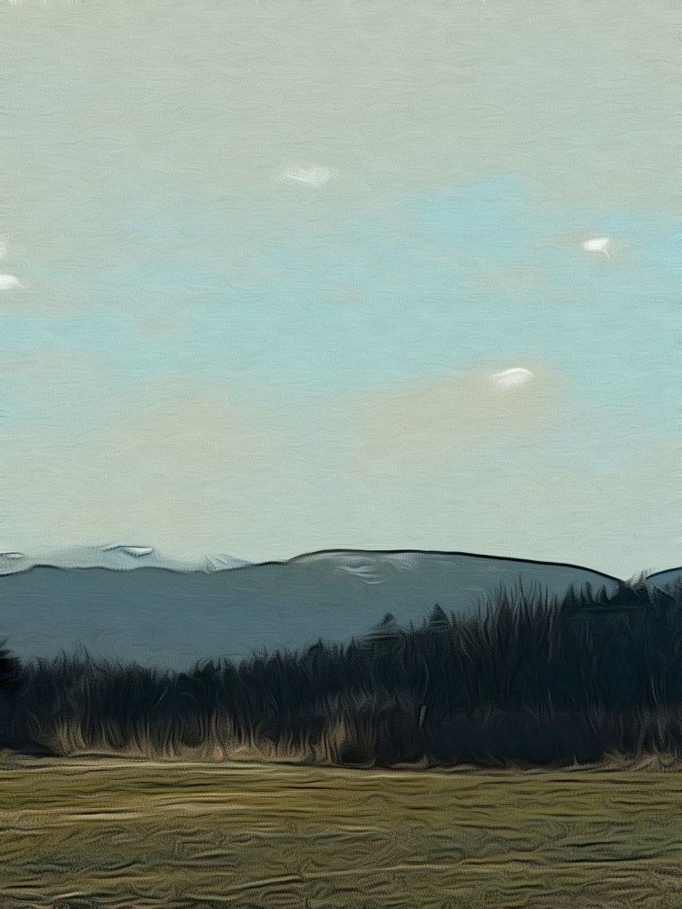 Edited scenic view 2022