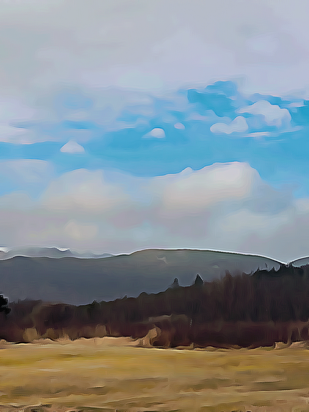 Beautiful Day photography 2021-2022 