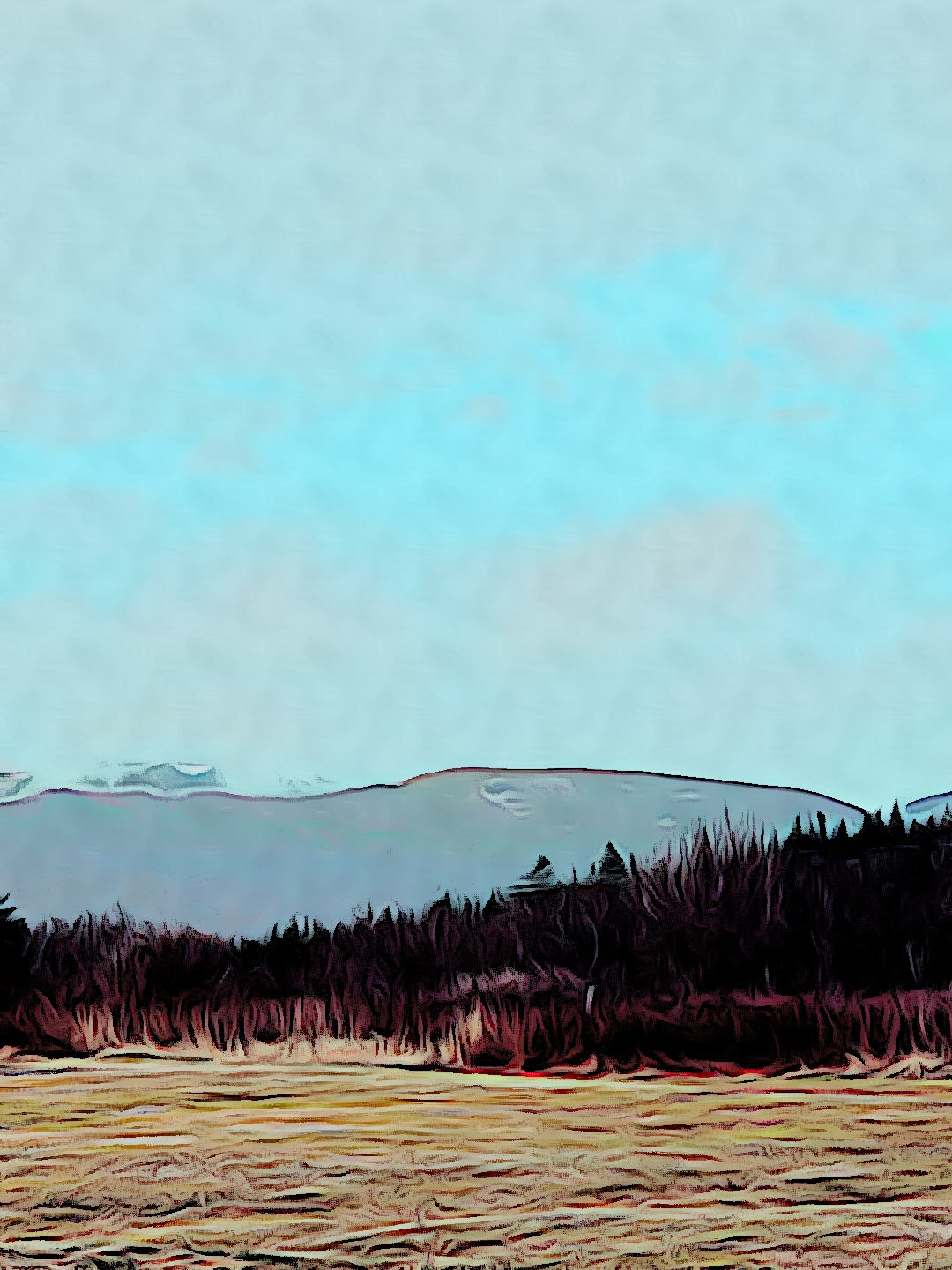 Edited scenery image 2022