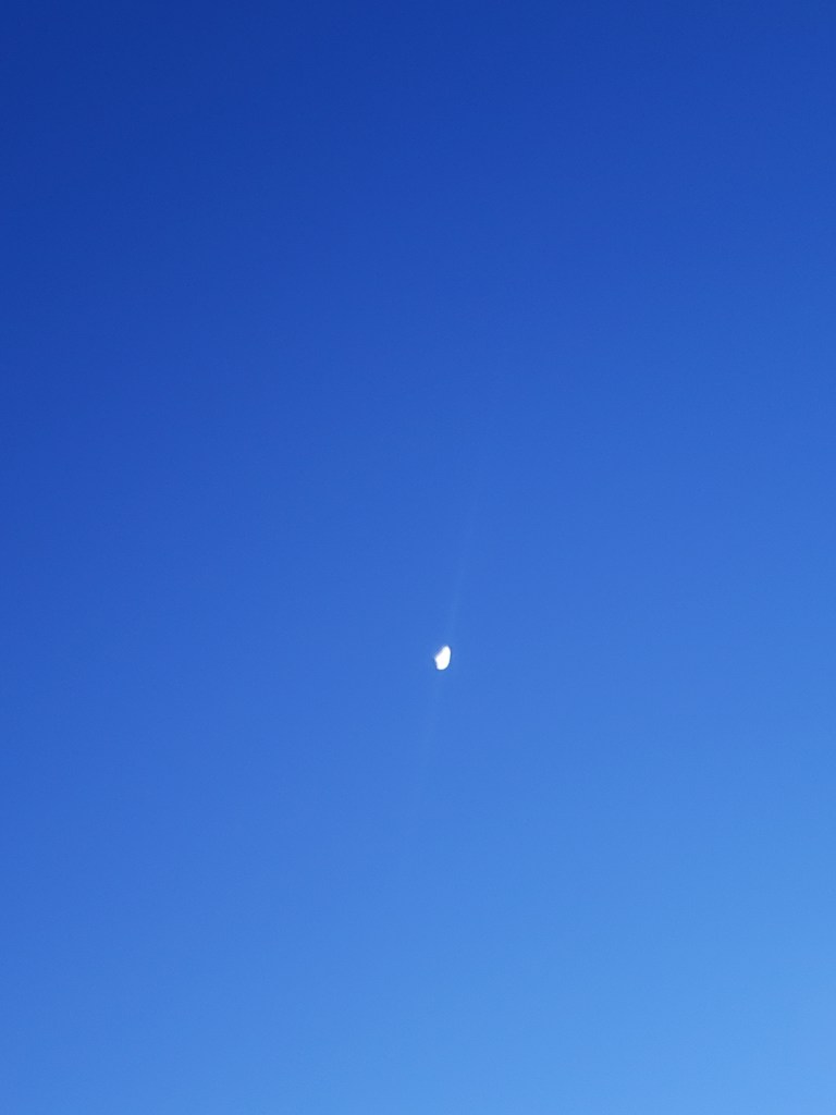 Waxing Moon May 2022