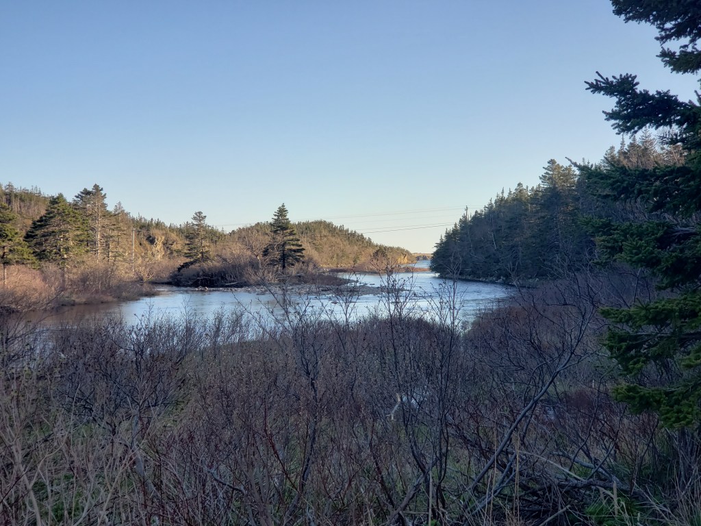 Scenic Image of Newfoundland, Canada Original Dr Digital Philosophy