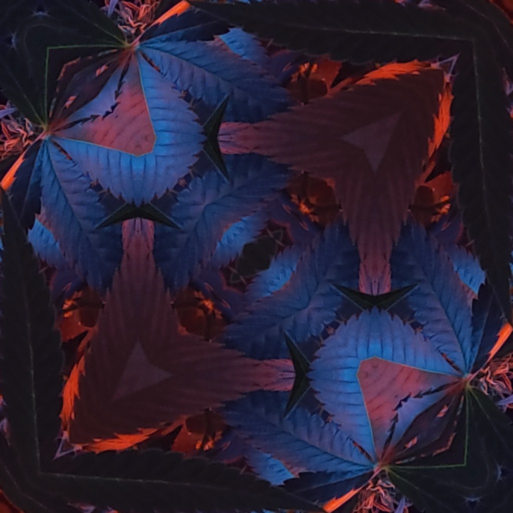 Digital Cannabis Art 2022