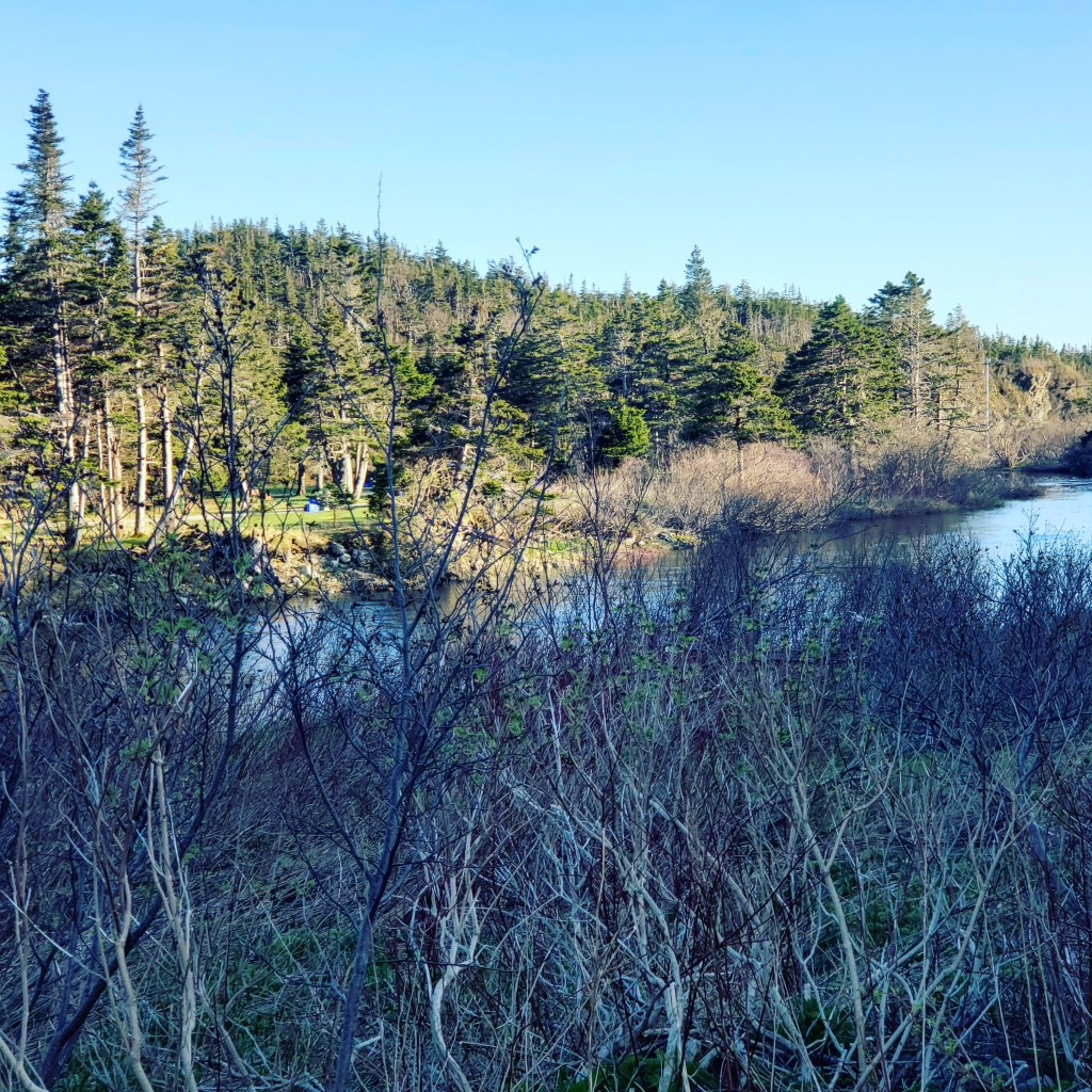 The sun is in Gemini during May 21st, 2022 Dr. Digital Philosophy