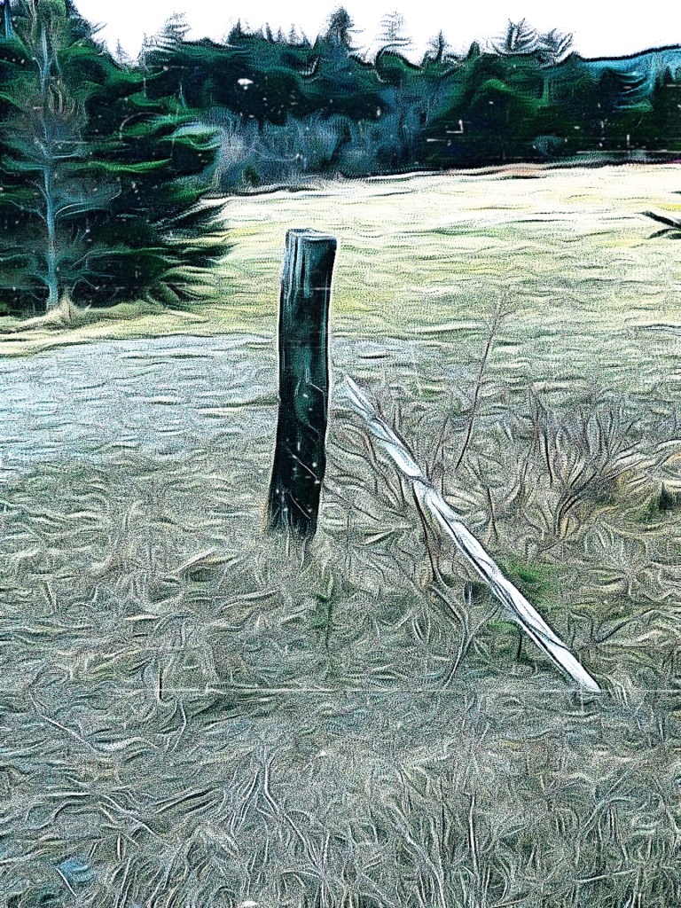 The stick in a field image